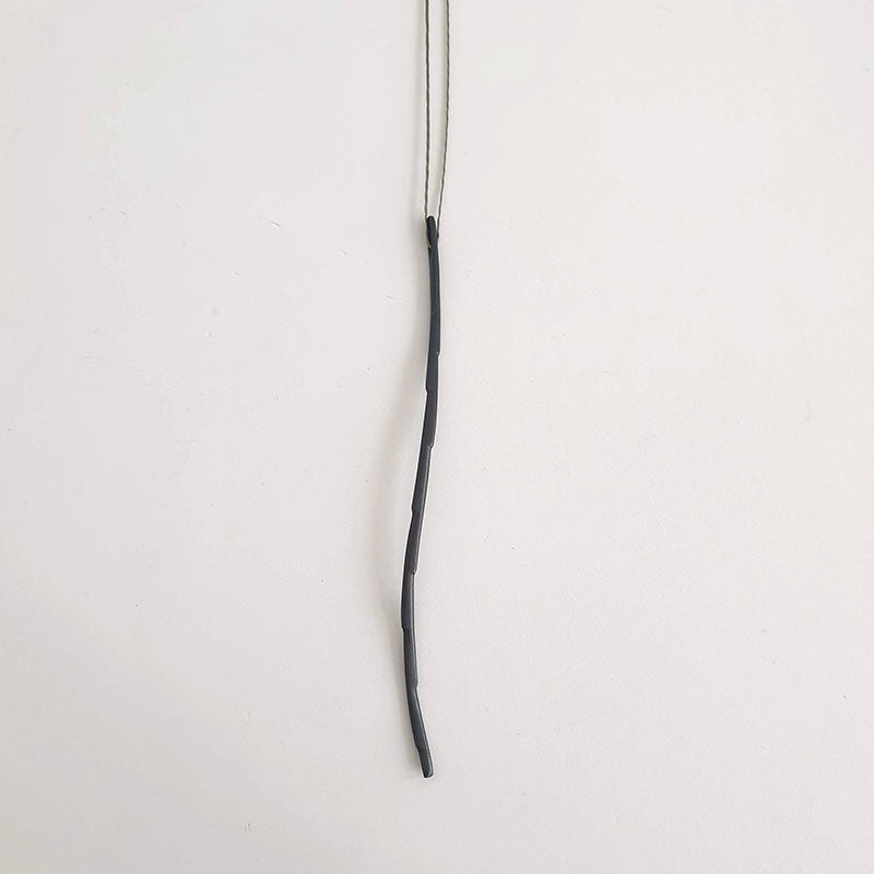 Carmichaelia Australis – Common broom, 2021