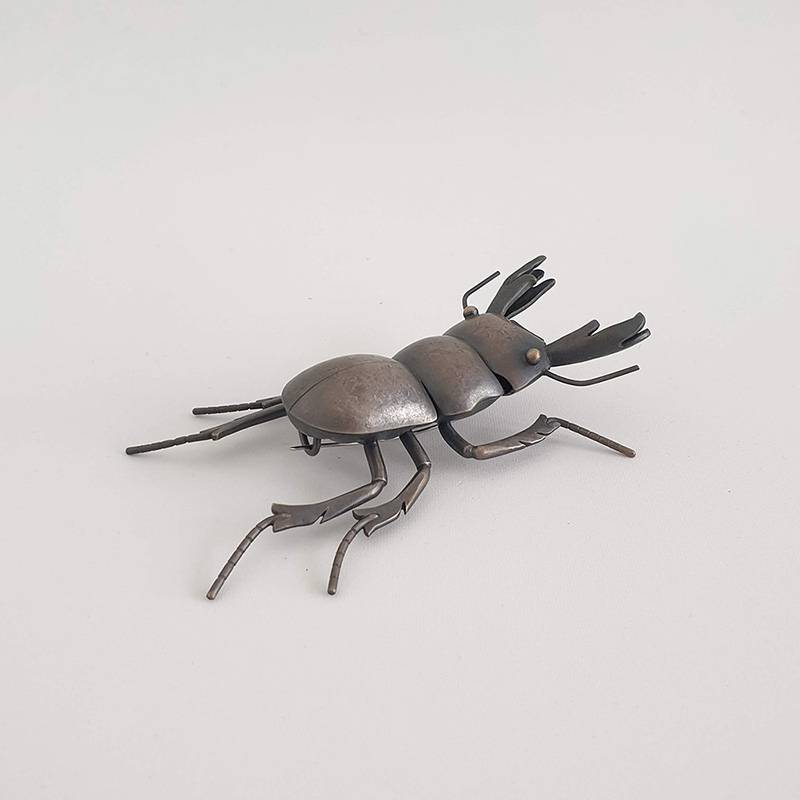 Mokohinau Stag Beetle (f.), 2020
