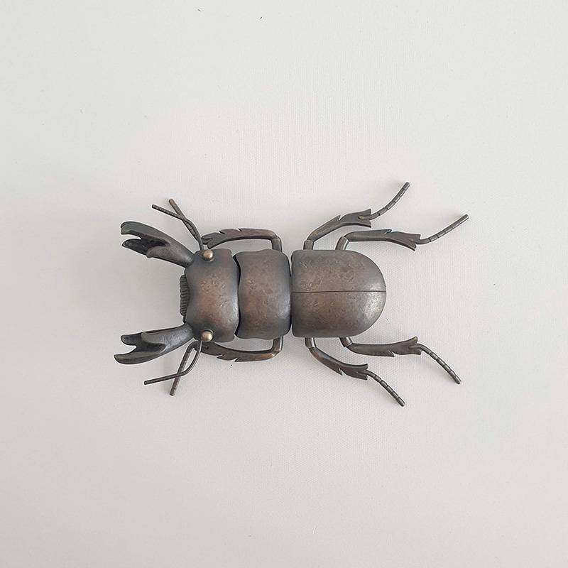 Mokohinau Stag Beetle (f.), 2020