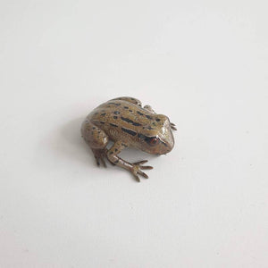 Frog Brooch Large, 2021