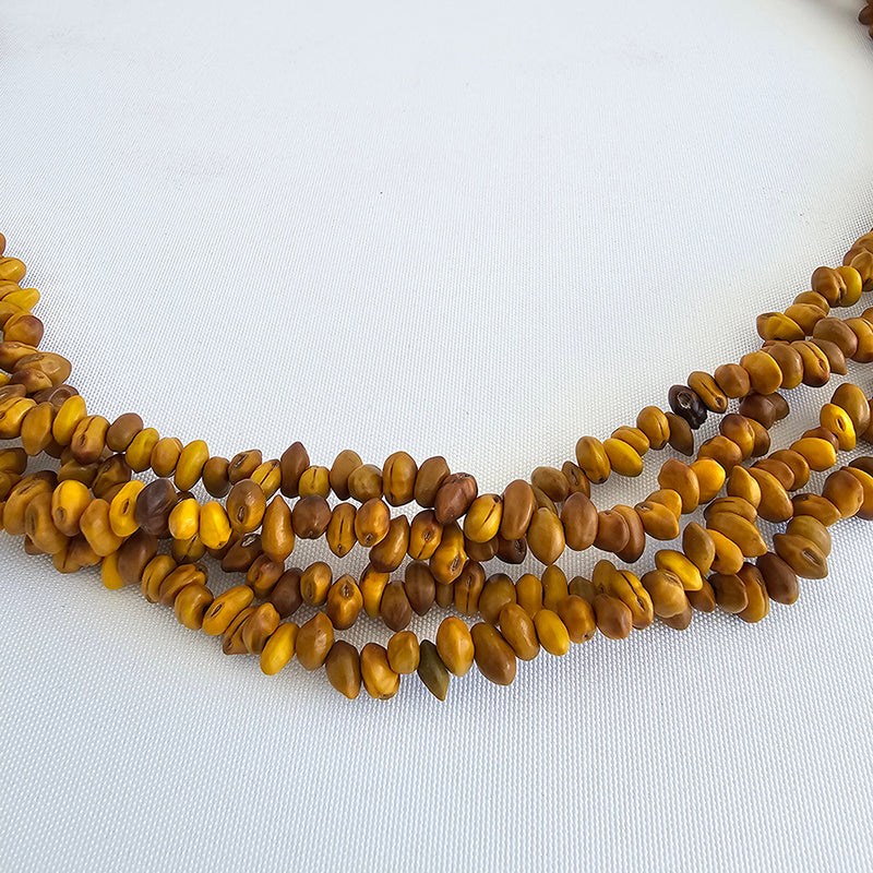 Kōwhai single strand, 2025