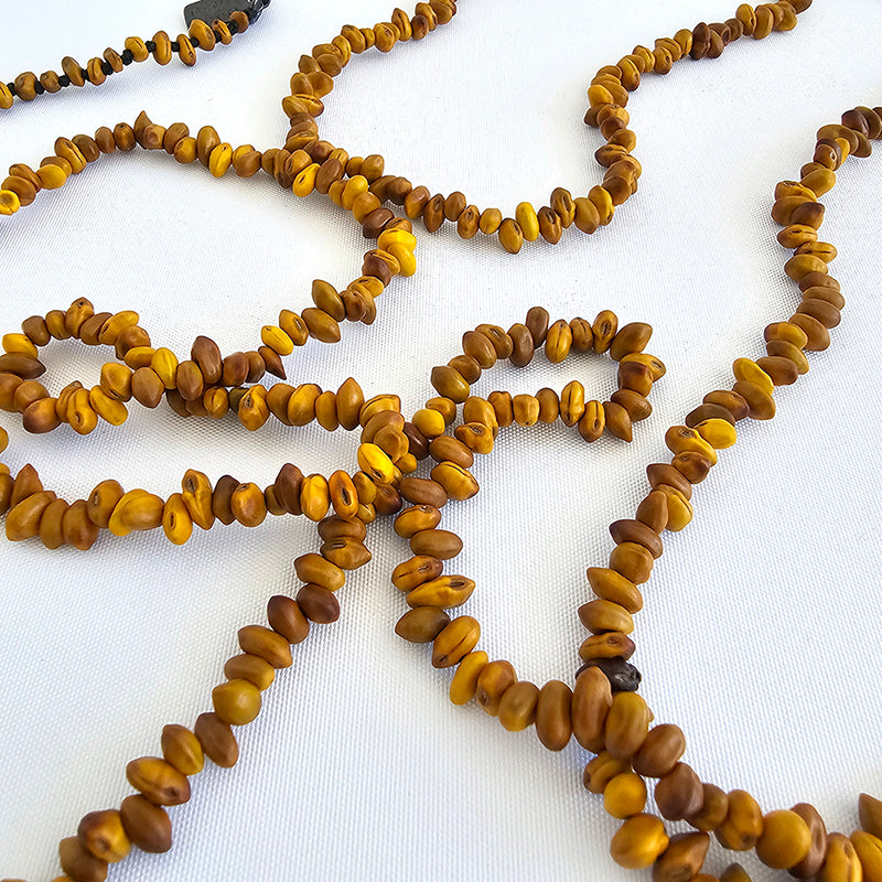 Kōwhai single strand, 2025