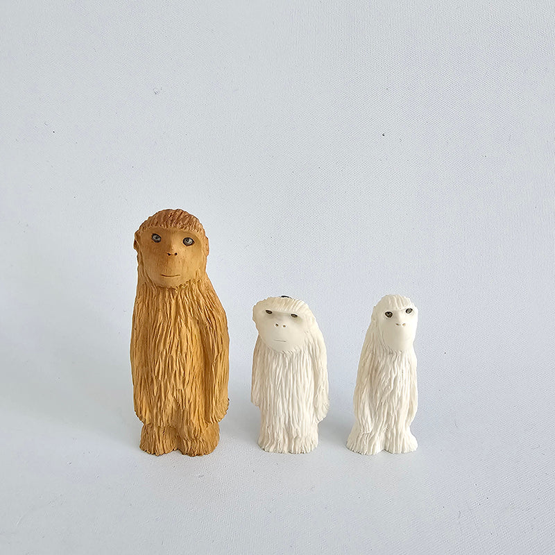 Unbel, boxwood 2024