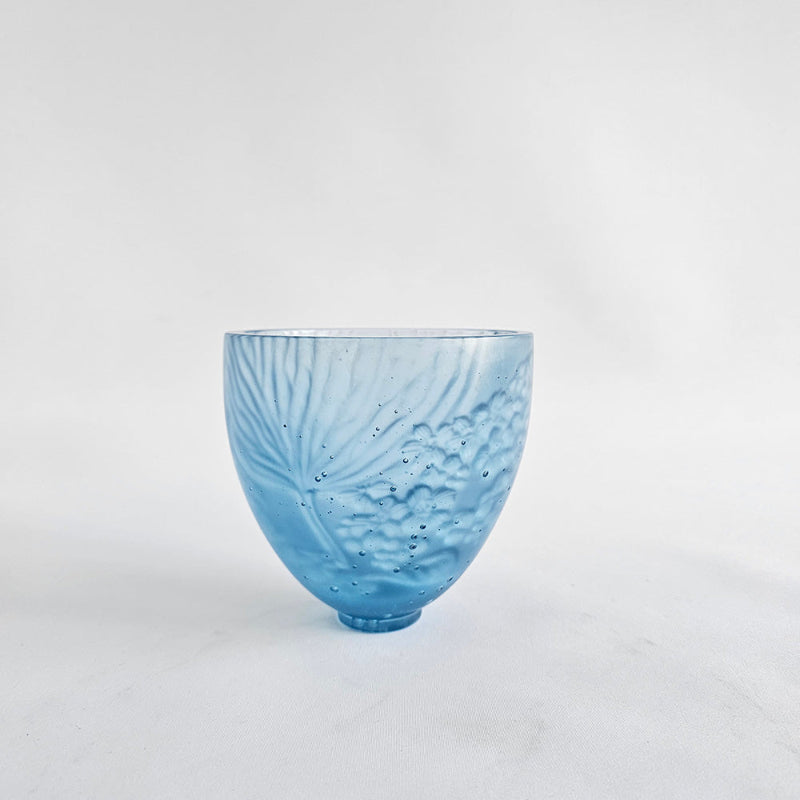 Chatham Island Forget-me-not, 2025