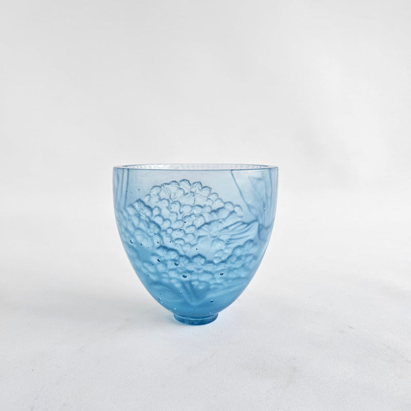 Chatham Island Forget-me-not, 2025