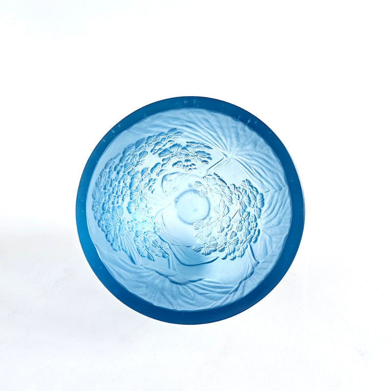 Chatham Island Forget-me-not, 2025