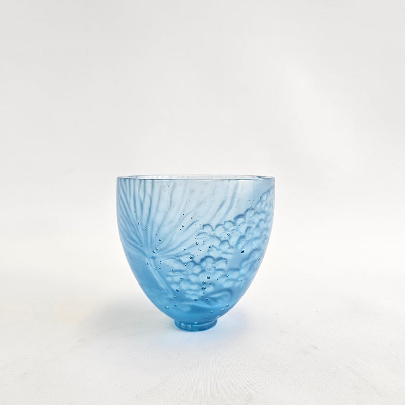 Chatham Island Forget-me-not, 2025