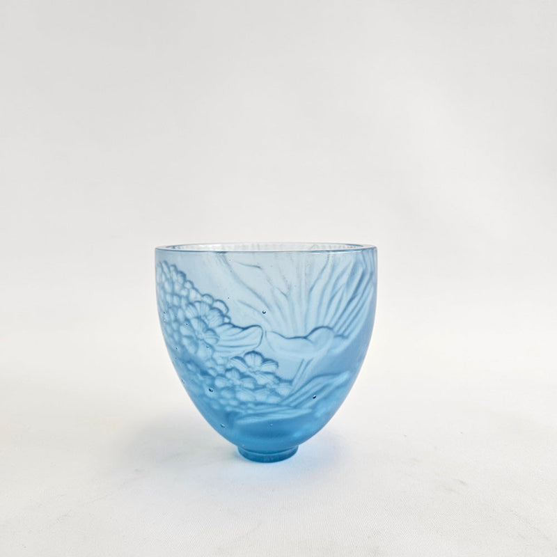 Chatham Island Forget-me-not, 2025