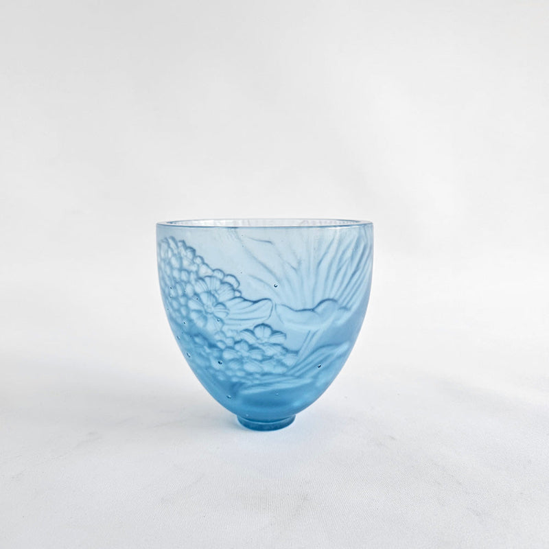 Chatham Island Forget-me-not, 2025