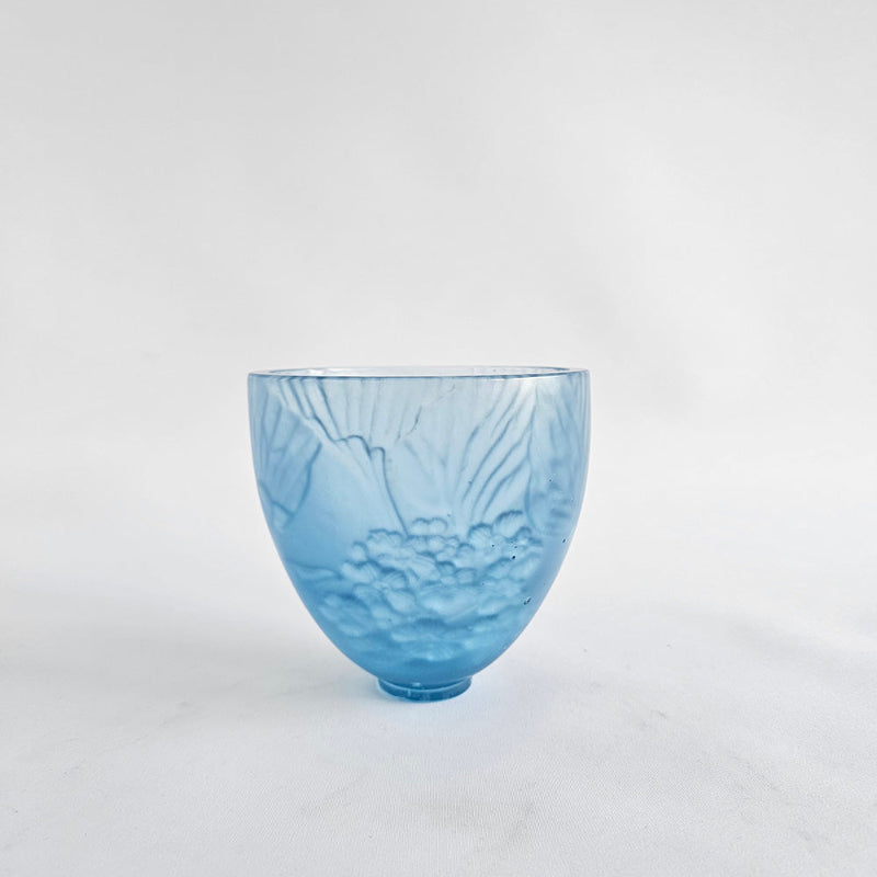 Chatham Island Forget-me-not, 2025