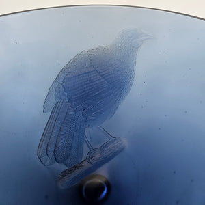 Kōkako, 2023