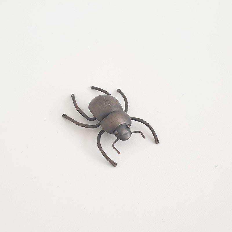 Cromwell Chafer Beetle, 2020