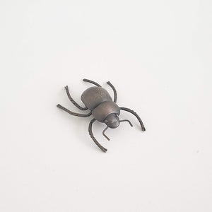 Cromwell Chafer Beetle, 2020