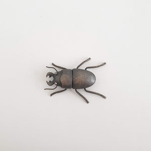 Helm's Stag Beetle, 2020