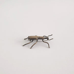 Stephen's Island Weevil, 2020