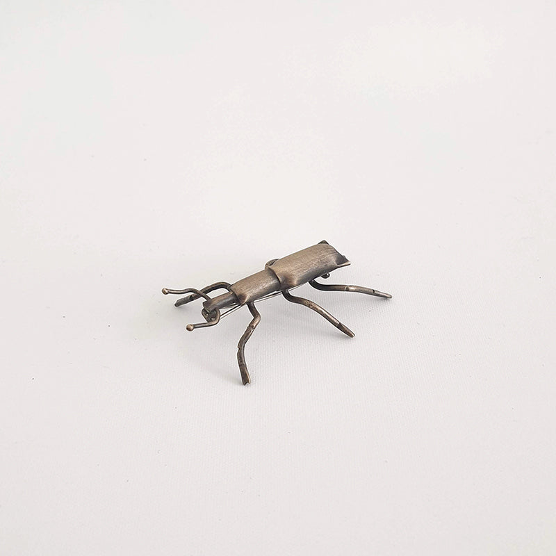 Stephen's Island Weevil, 2020