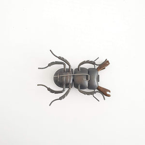 Mokohinau Stag Beetle (m), 2020