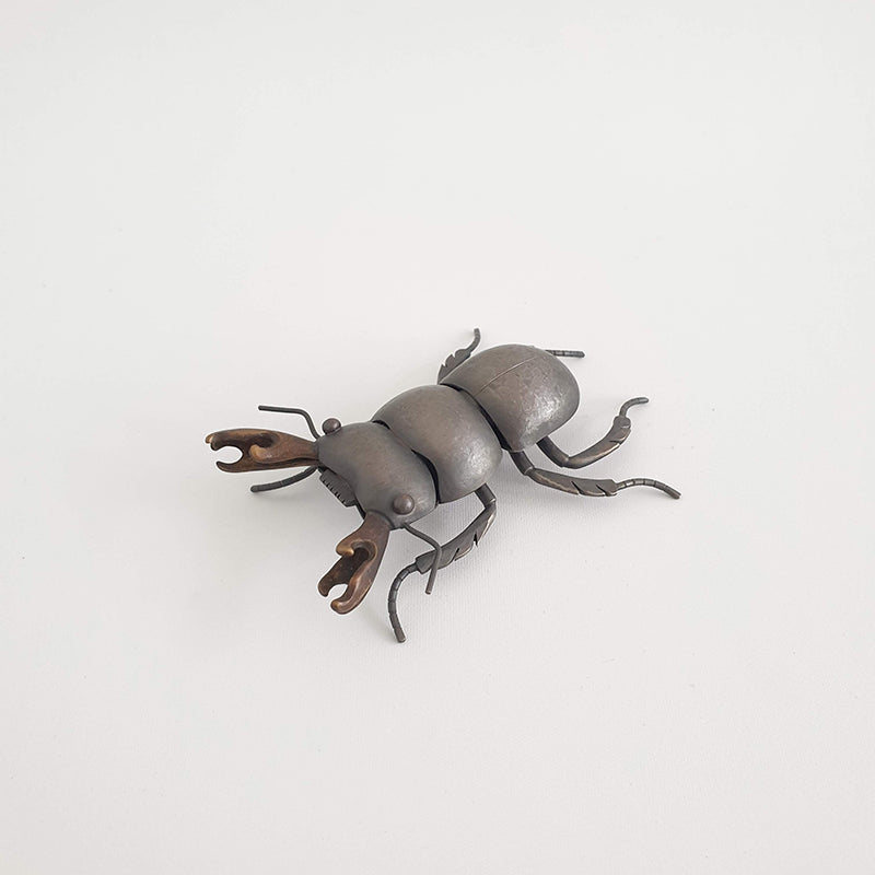 Mokohinau Stag Beetle (m), 2020