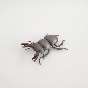 Mokohinau Stag Beetle (m), 2020