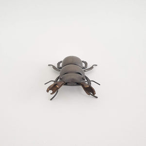 Mokohinau Stag Beetle (m), 2020