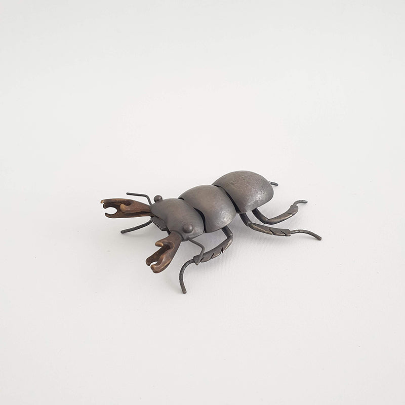 Mokohinau Stag Beetle (m), 2020