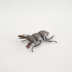 Mokohinau Stag Beetle (m), 2020