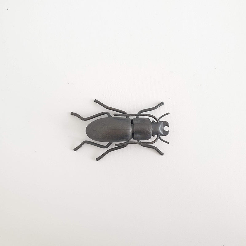 Eyrewell Ground Beetle, 2020