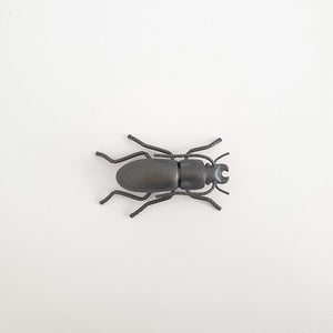 Eyrewell Ground Beetle, 2020
