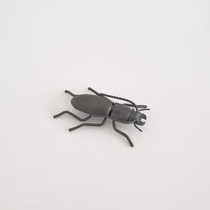 Eyrewell Ground Beetle, 2020