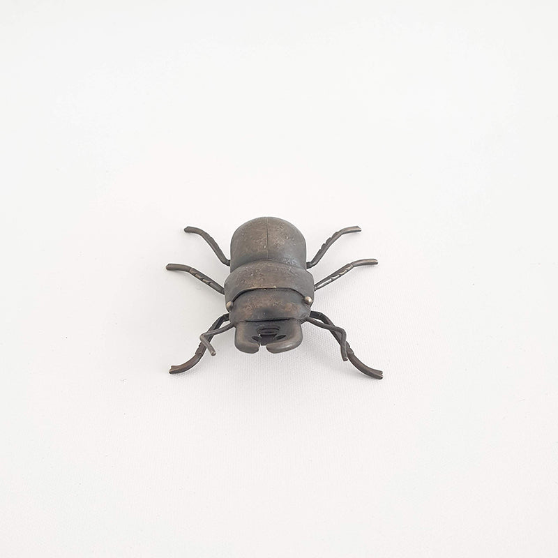 Helm's Stag Beetle, 2020