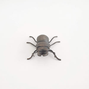 Helm's Stag Beetle, 2020