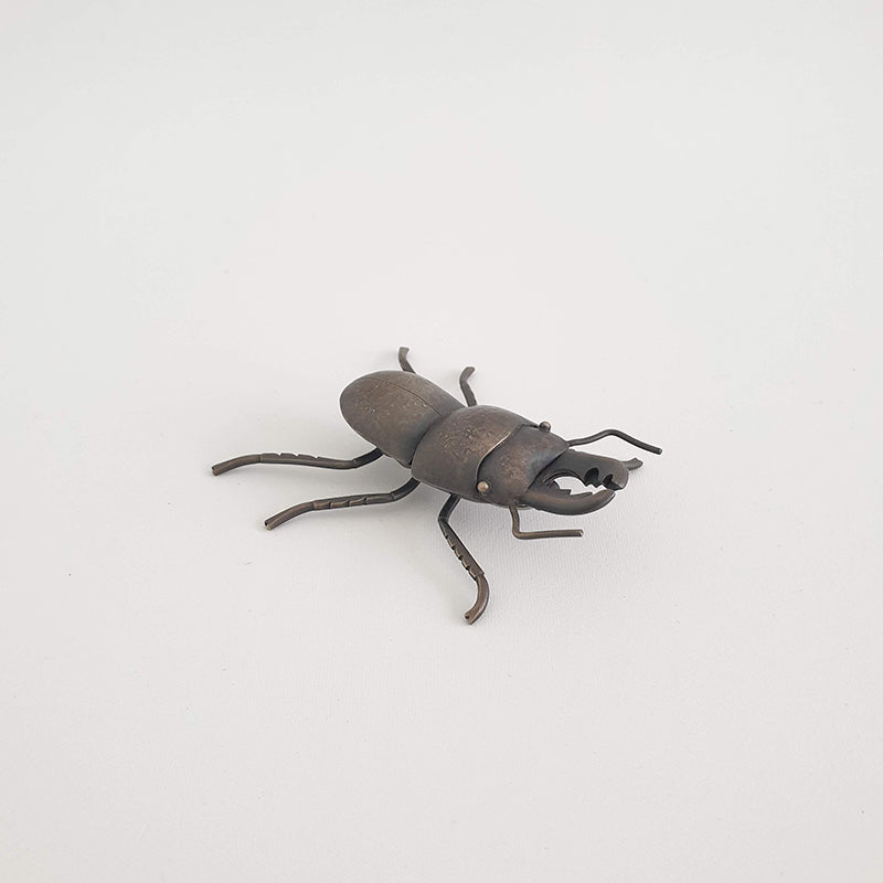 Helm's Stag Beetle, 2020