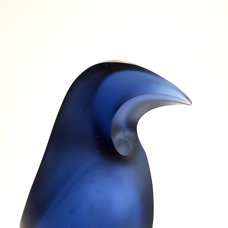 Tūī, 2025