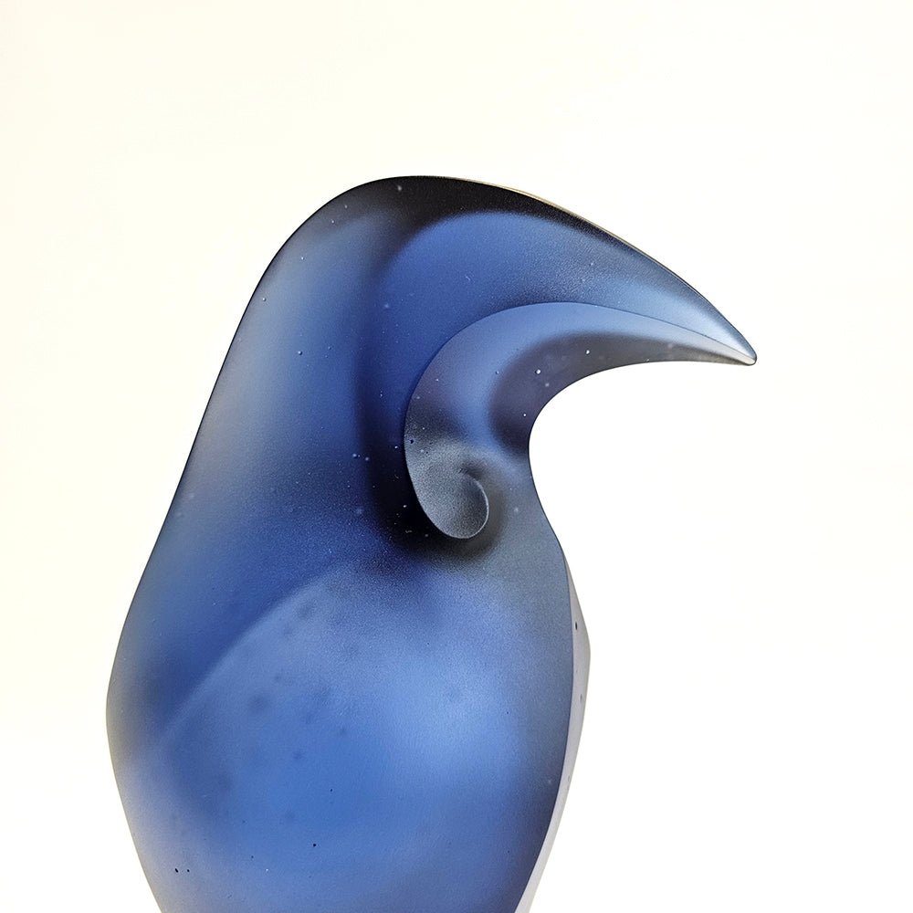 Tūī, 2025