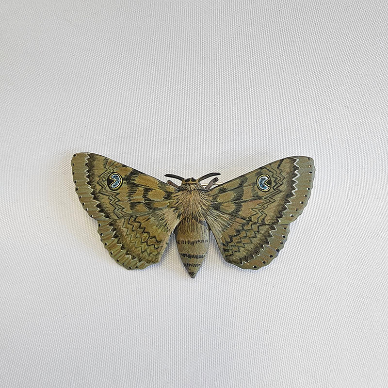 Peacock Moth Brooch, 2025