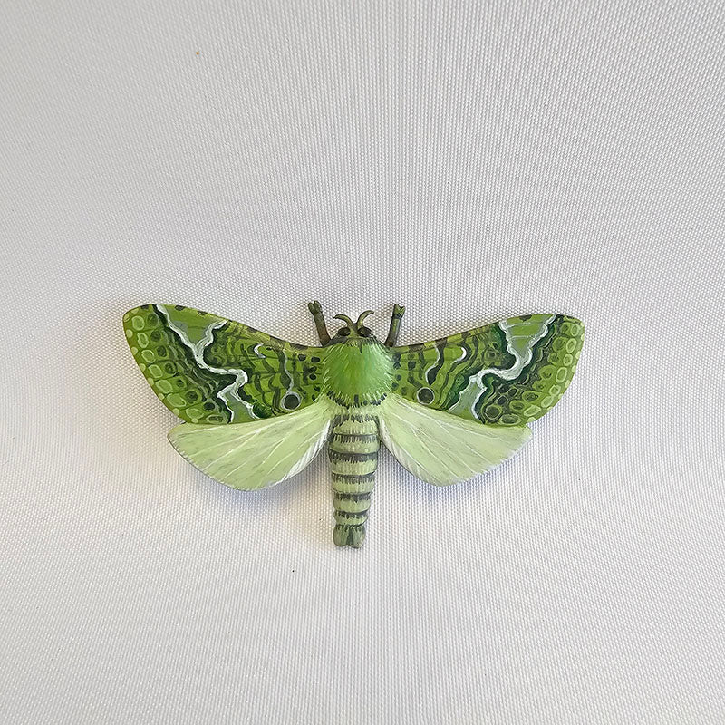 Puriri Moth Brooch, 2025
