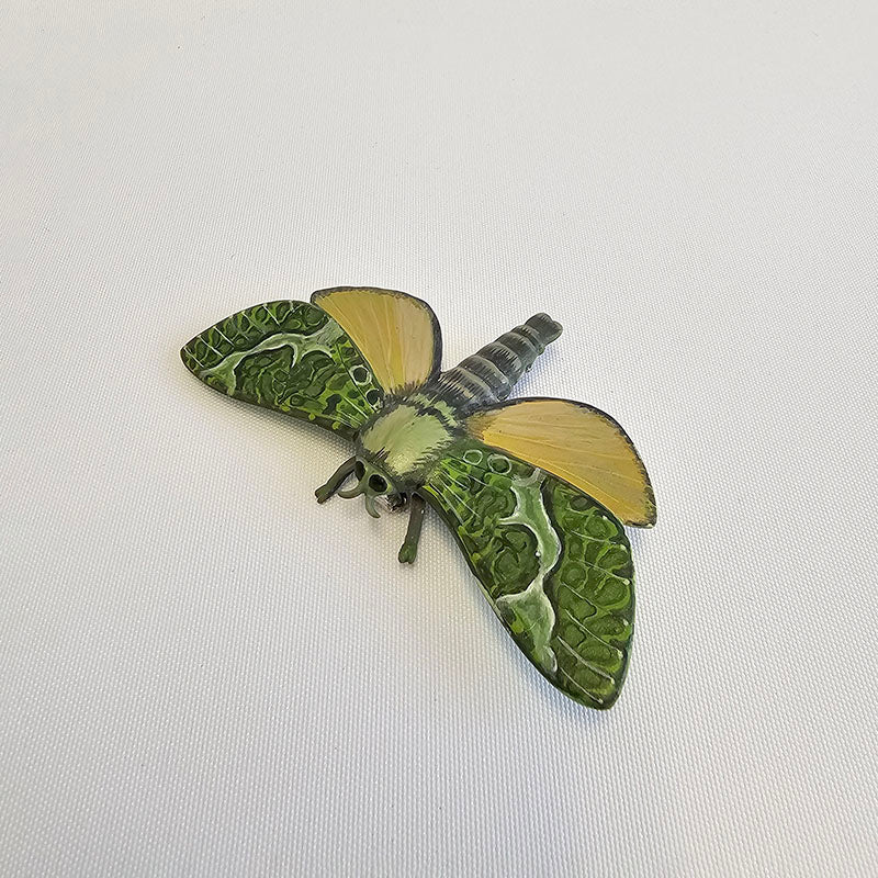 Puriri Moth Brooch, 2025
