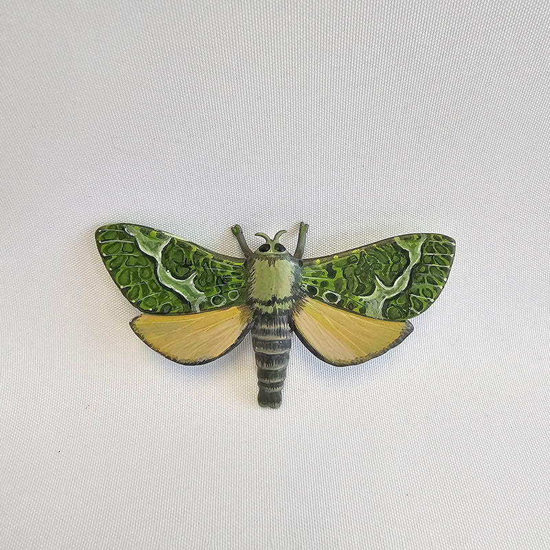 Puriri Moth Brooch, 2025