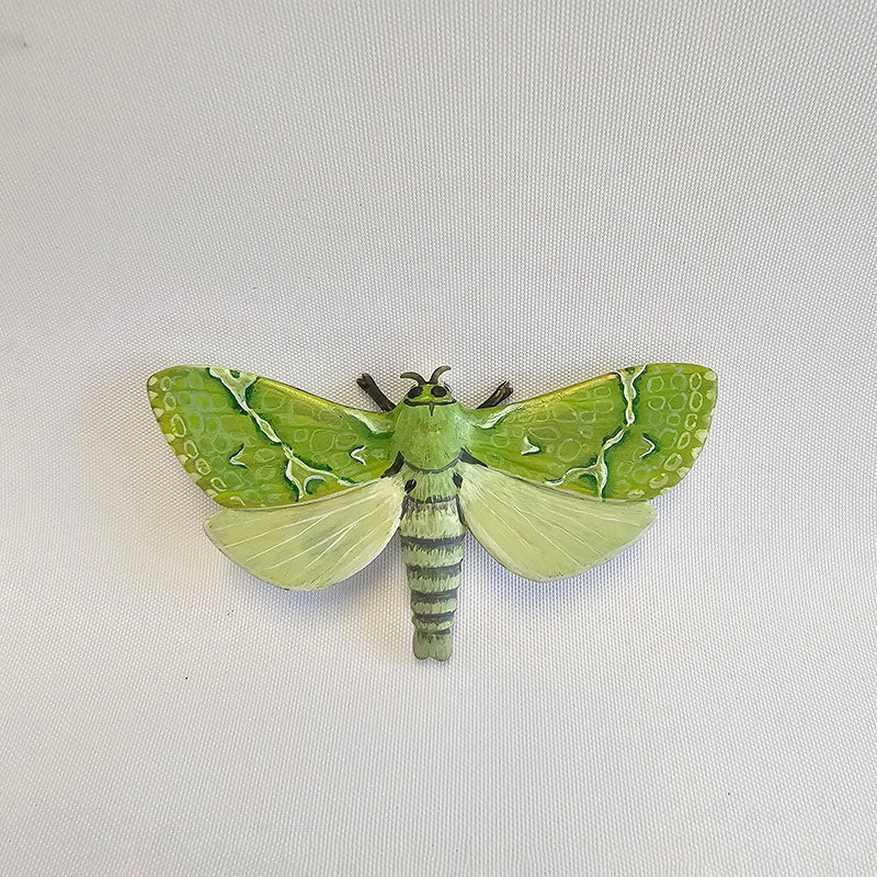 Puriri Moth Brooch, 2025