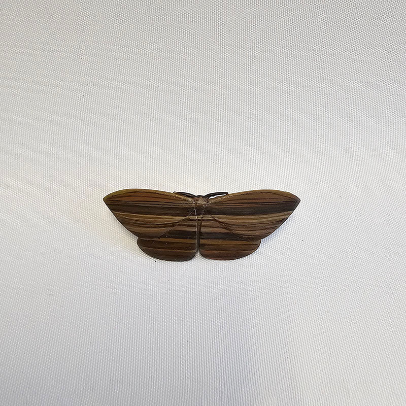 Cabbage Tree Moth Brooch, 2025