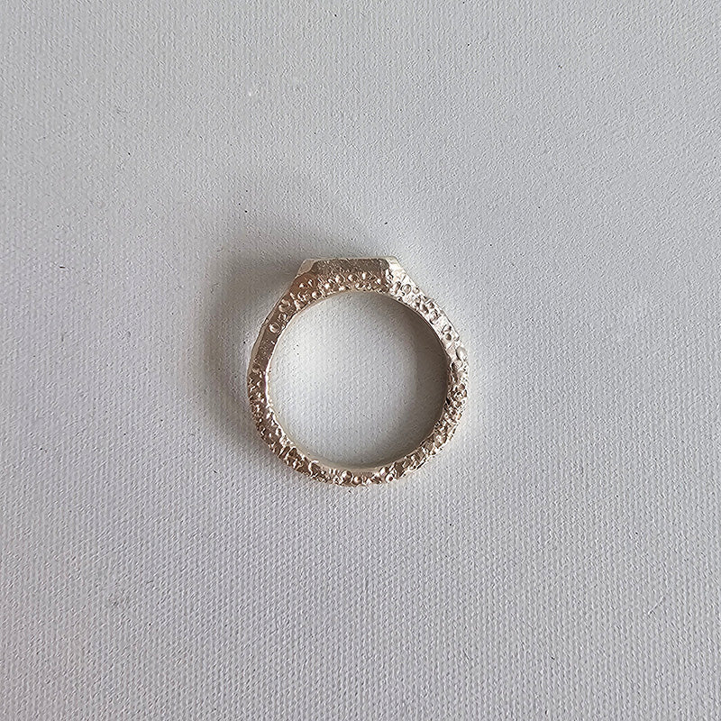 Offcut Signet Ring #1