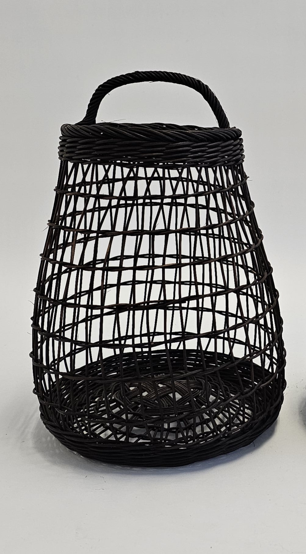 Lemon Basket, 2024