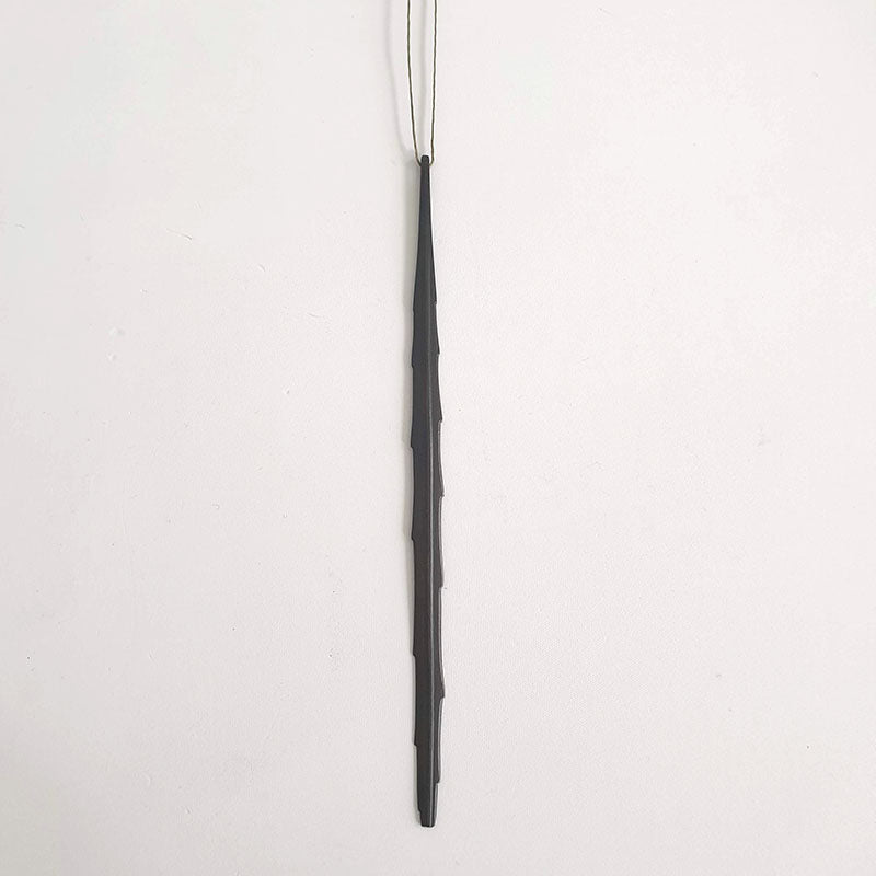 Carmichaelia Odorata – scented broom, 2021