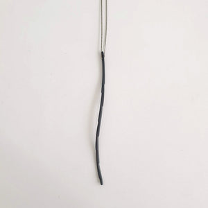 Carmichaelia Australis – Common broom, 2021