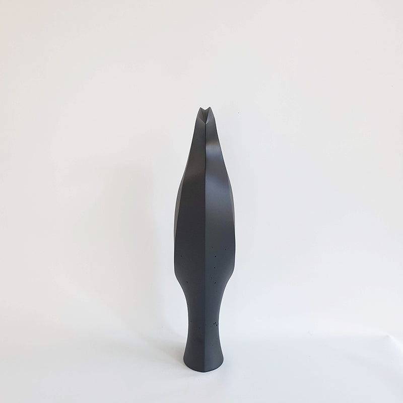 Kawau (Black Shag) 2022